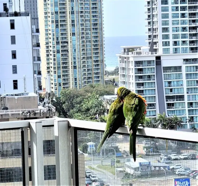 Main view of Homely apartment listing, 51/40 Ferny Avenue, "Waterways", Surfers Paradise QLD 4217