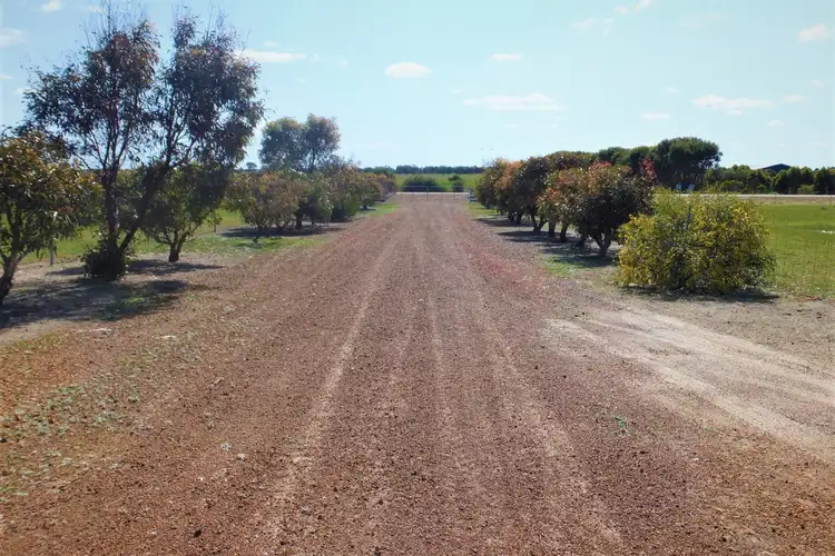 Sixth view of Homely rural property listing, 510 Daviesia Drive, Hopetoun WA 6348