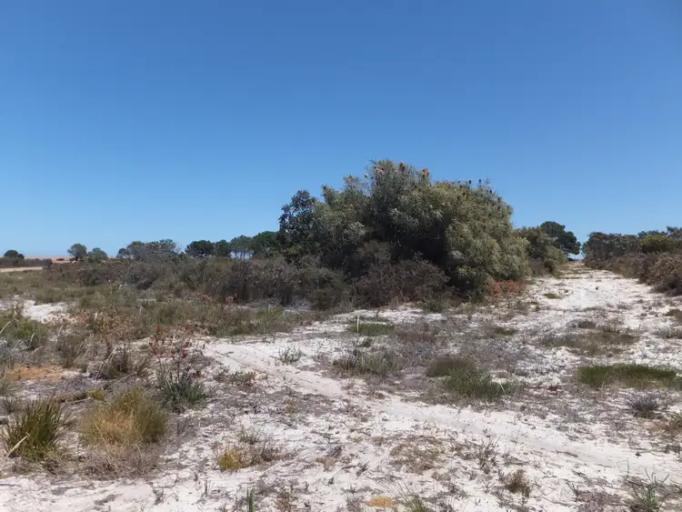 Sixth view of Homely rural property listing, 53 Orchid Road, Hopetoun WA 6348