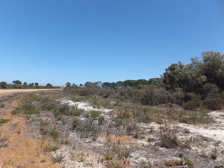 Seventh view of Homely rural property listing, 53 Orchid Road, Hopetoun WA 6348