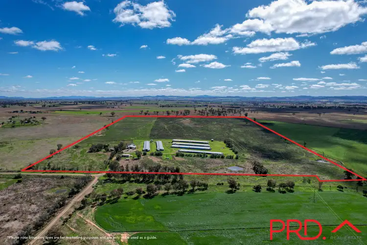 Main view of Homely rural property listing, 153 Byamee Lane, Wallamore NSW 2340