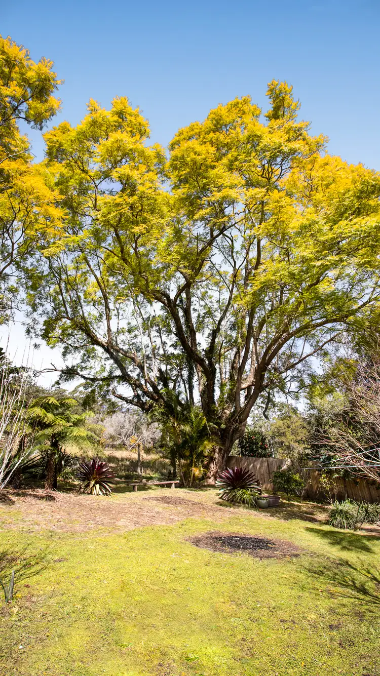 Fifth view of Homely house listing, 233 Waitui Road, Waitui NSW 2443