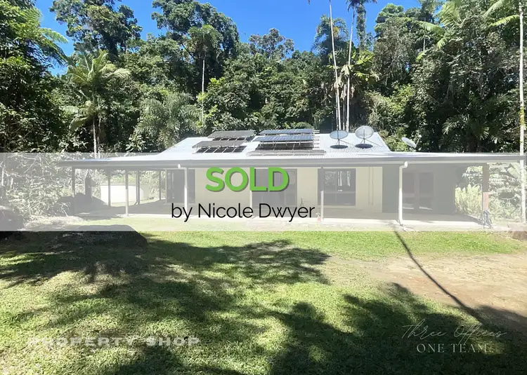 137 Turpentine Road, Diwan, Daintree QLD 4873