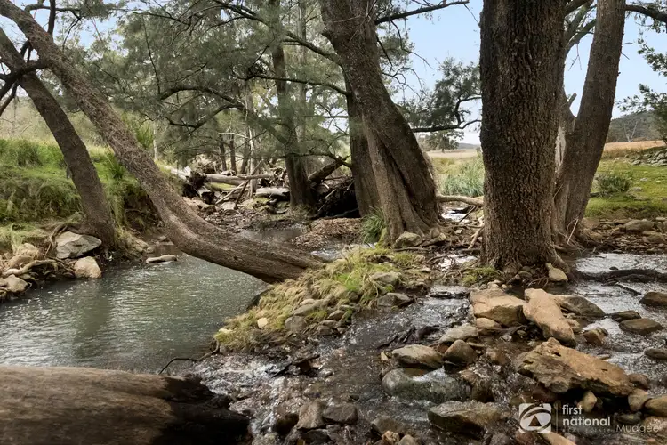 Fourth view of Homely rural property listing, 385 Bishops View Road, Mudgee NSW 2850