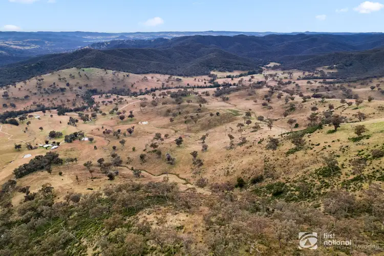 Fifth view of Homely rural property listing, 385 Bishops View Road, Mudgee NSW 2850