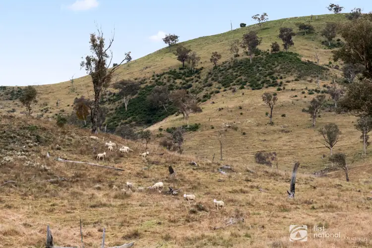 Seventh view of Homely rural property listing, 385 Bishops View Road, Mudgee NSW 2850