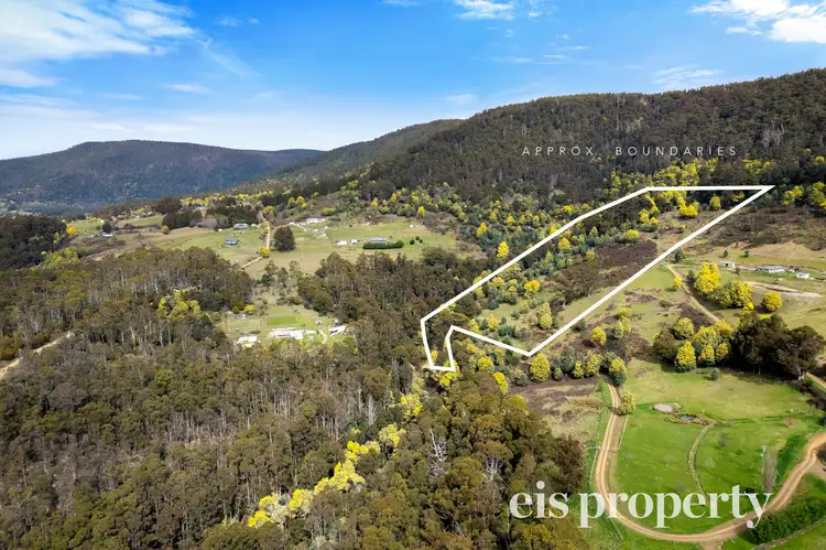 Second view of Homely land listing, 236 Top Swamp Road, Lachlan TAS 7140