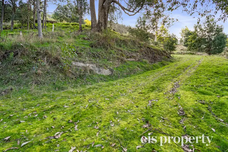 Third view of Homely land listing, 236 Top Swamp Road, Lachlan TAS 7140
