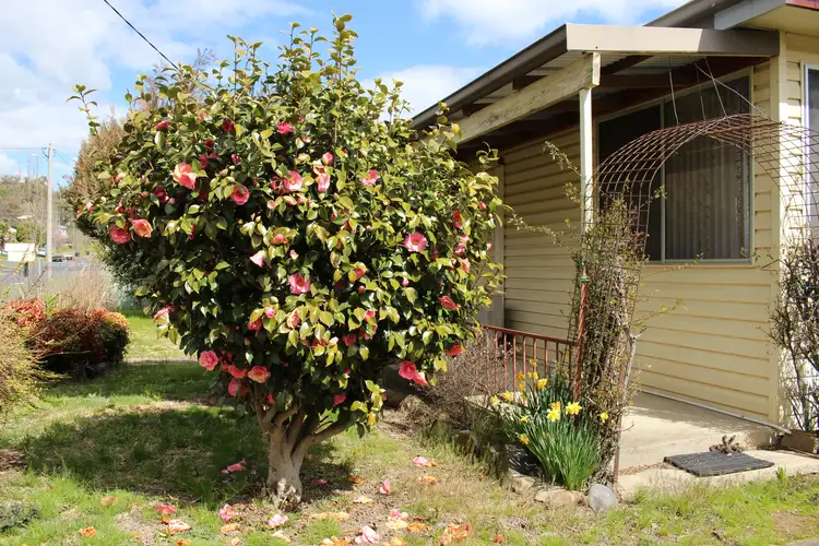 Second view of Homely house listing, 121 Gilbert Street, Tumbarumba NSW 2653