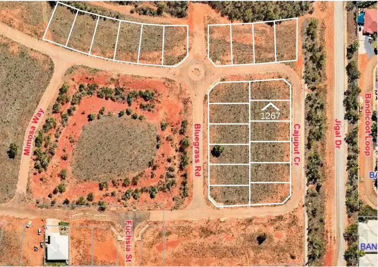 LOT 1267 Cajuput Crescent, Djugun WA 6725