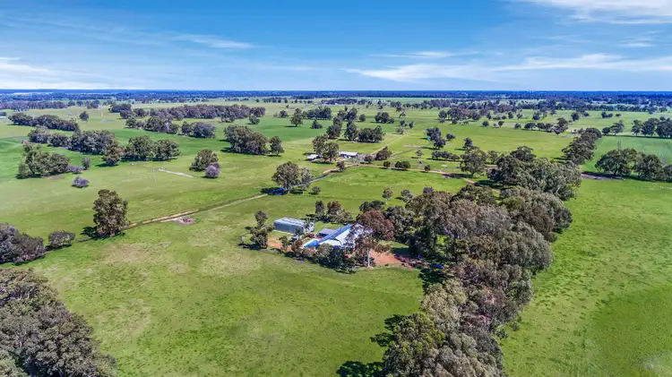 94 Reilly Road, Boyanup WA 6237