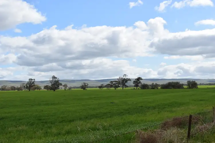 Lot 749 Angaston Sedan Road, Sedan SA 5353