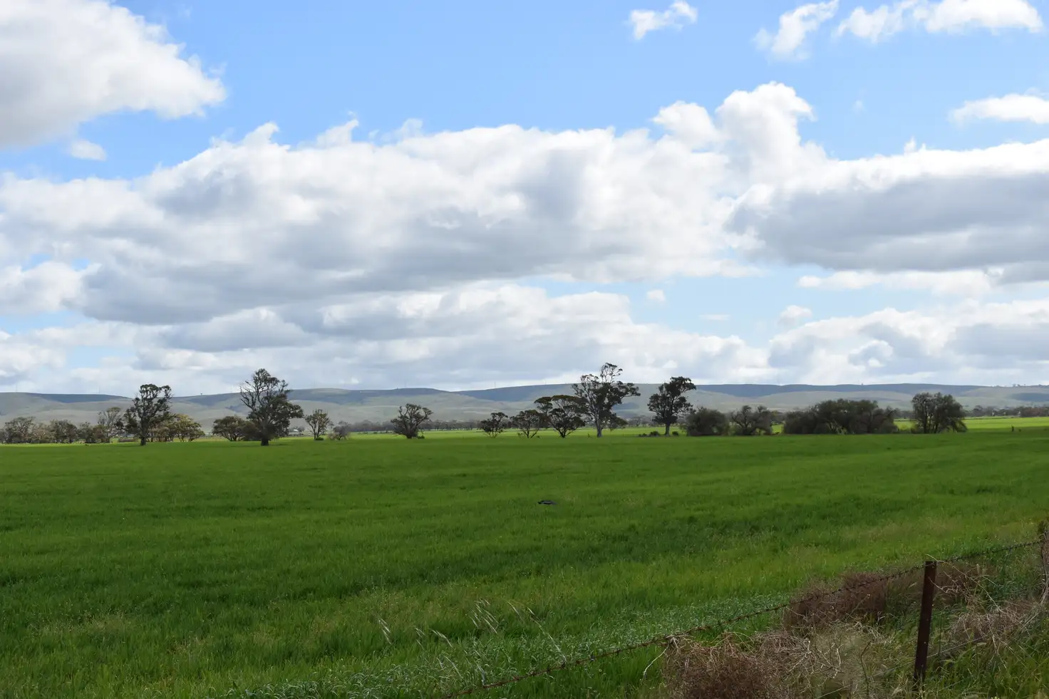 Main view of Homely land listing, Lot 749 Angaston Sedan Road, Sedan SA 5353