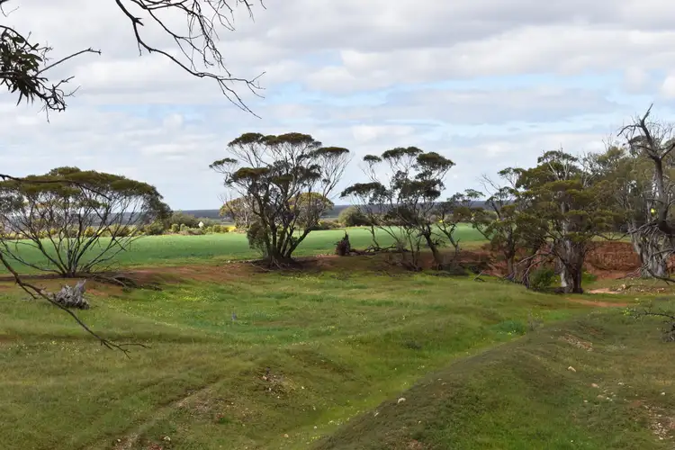 Third view of Homely land listing, Lot 749 Angaston Sedan Road, Sedan SA 5353