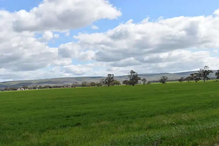 Fifth view of Homely land listing, Lot 749 Angaston Sedan Road, Sedan SA 5353
