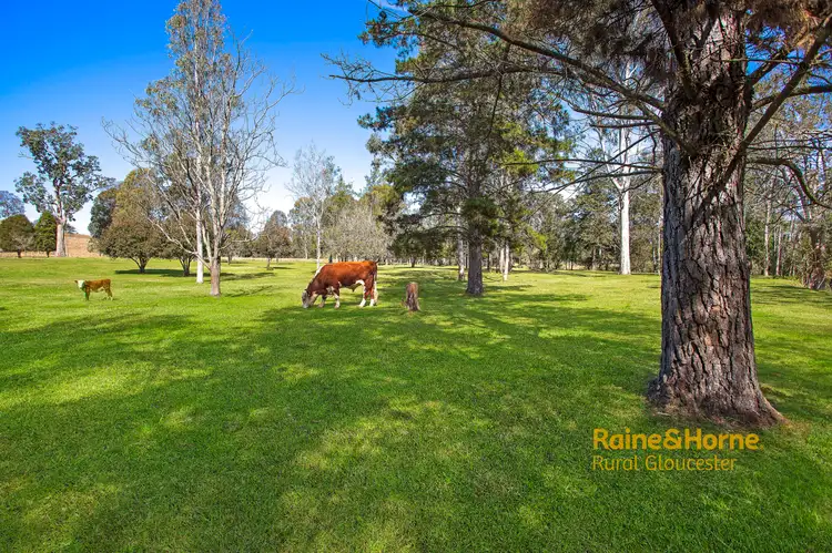 Third view of Homely rural property listing, 1248 Thunderbolts Way Bowman, Gloucester NSW 2422