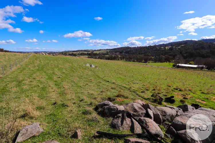 Fifth view of Homely land listing, 518 Batlow Road, Tumbarumba NSW 2653