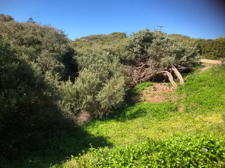 Third view of Homely land listing, 43 Sunshine Rise, Sandy Point VIC 3959