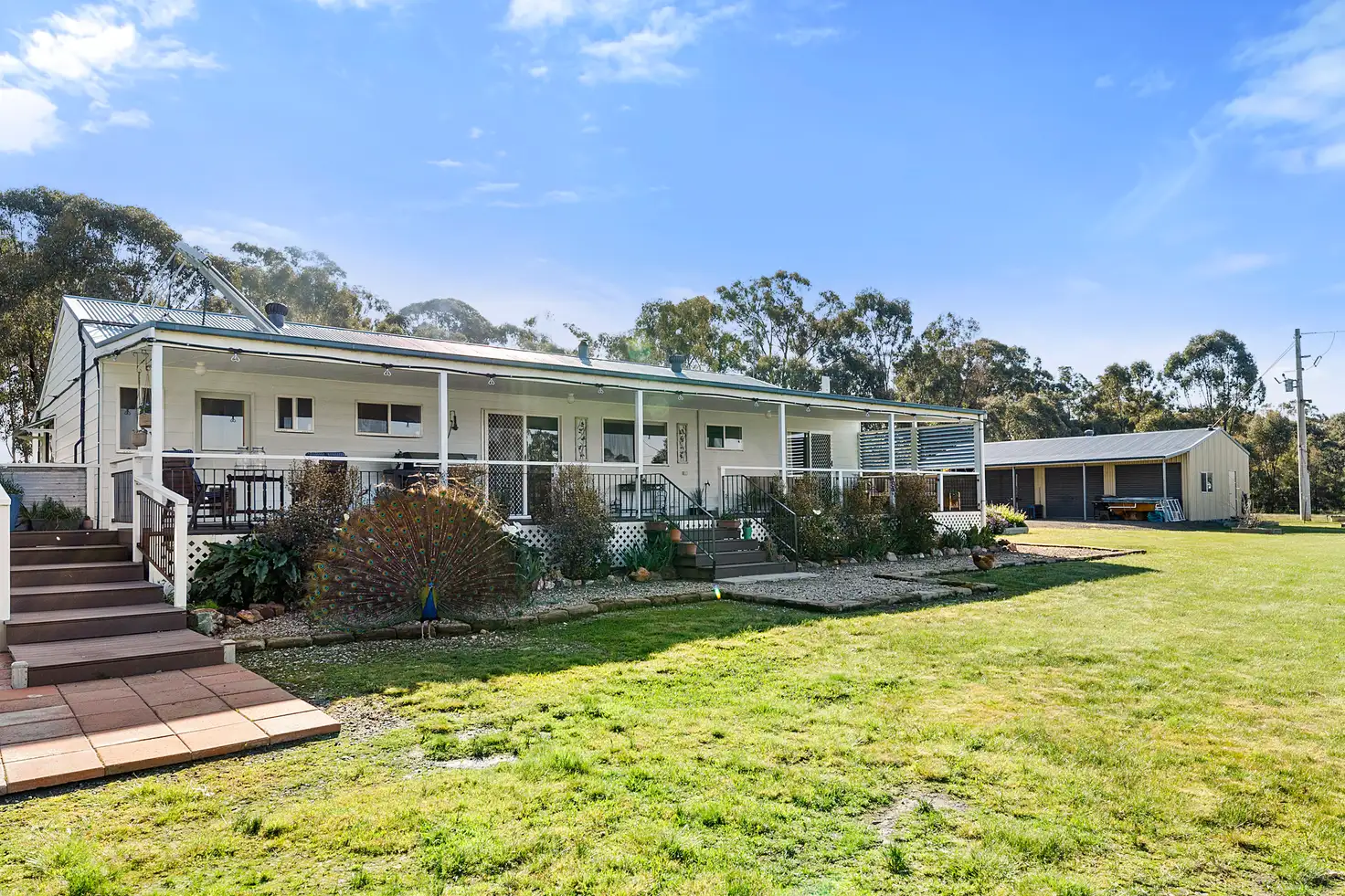 Main view of Homely rural property listing, 662 Tarnook Road, Tarnook VIC 3670