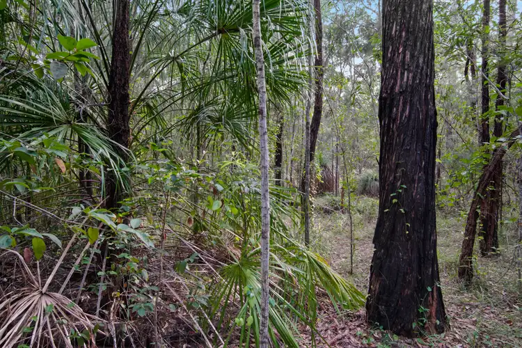 Fourth view of Homely land listing, Lot 98 Range Road, Captain Creek QLD 4677