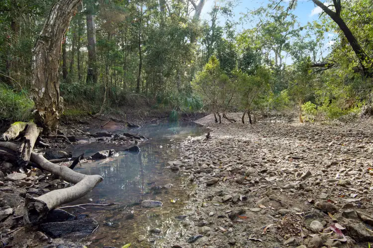 Fifth view of Homely land listing, Lot 98 Range Road, Captain Creek QLD 4677