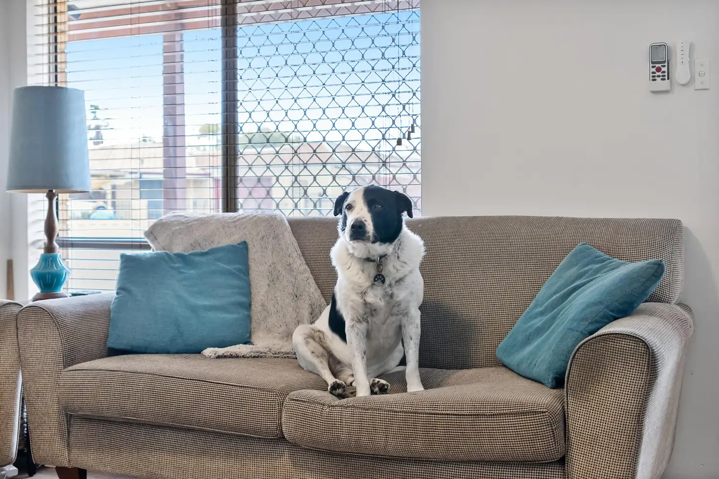 Main view of Homely house listing, 13 Ewart Grove, Midland WA 6056