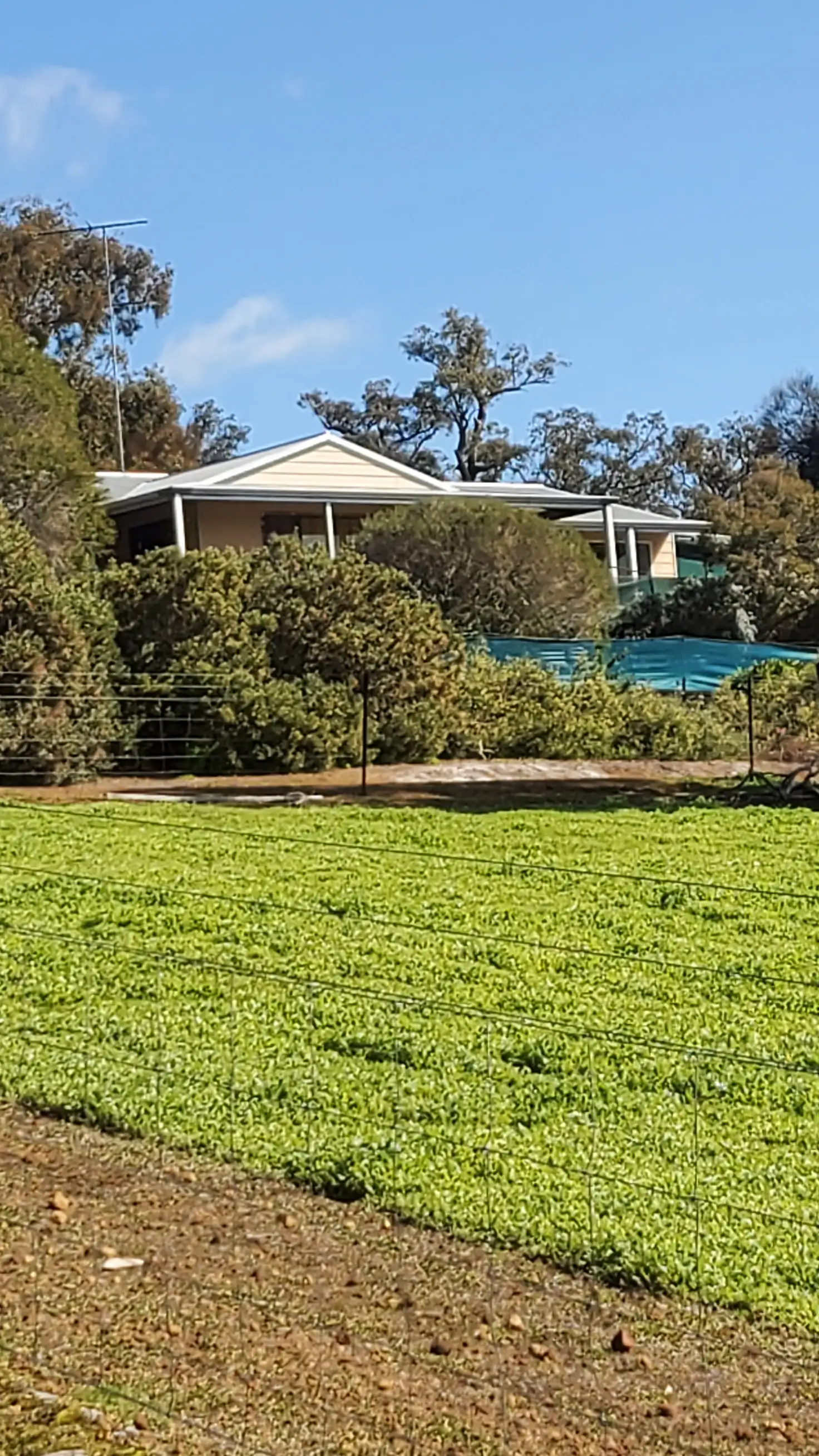 Main view of Homely house listing, 187 Almond Ave, Bakers Hill WA 6562