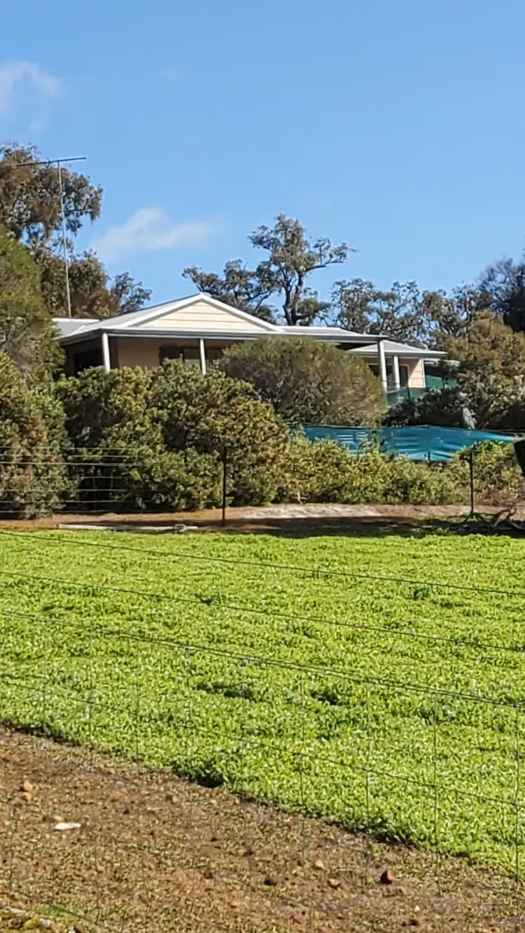 Second view of Homely house listing, 187 Almond Ave, Bakers Hill WA 6562