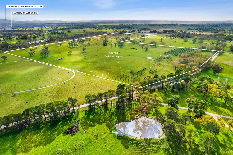 Main view of Homely land listing, 135 Andersons Lane, Glenhope VIC 3444