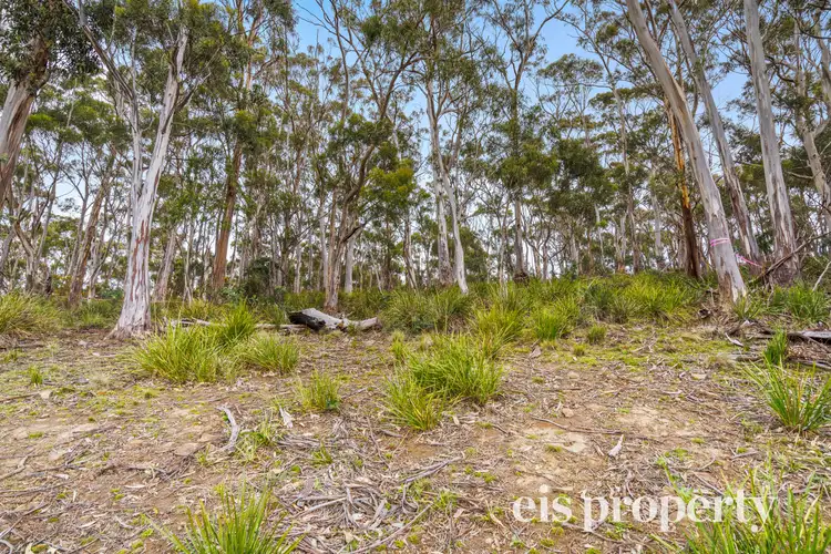 Sixth view of Homely land listing, 40 Hillcrest Road, Tolmans Hill TAS 7007