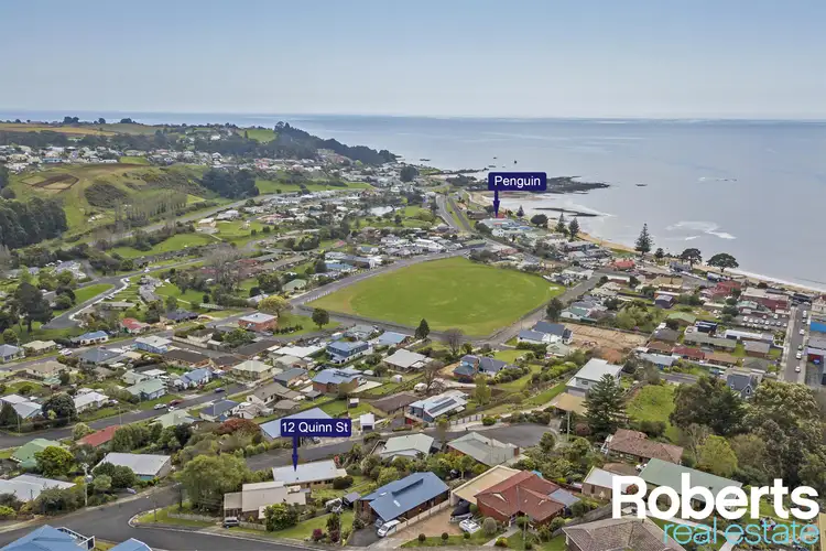 Main view of Homely house listing, 12 Quinn Street, Penguin TAS 7316