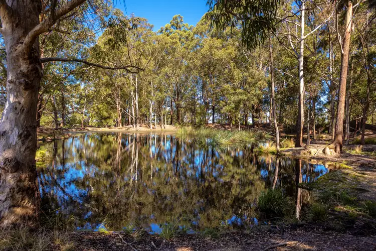 Fourth view of Homely rural property listing, 158 Long Point Road, Moorland NSW 2443