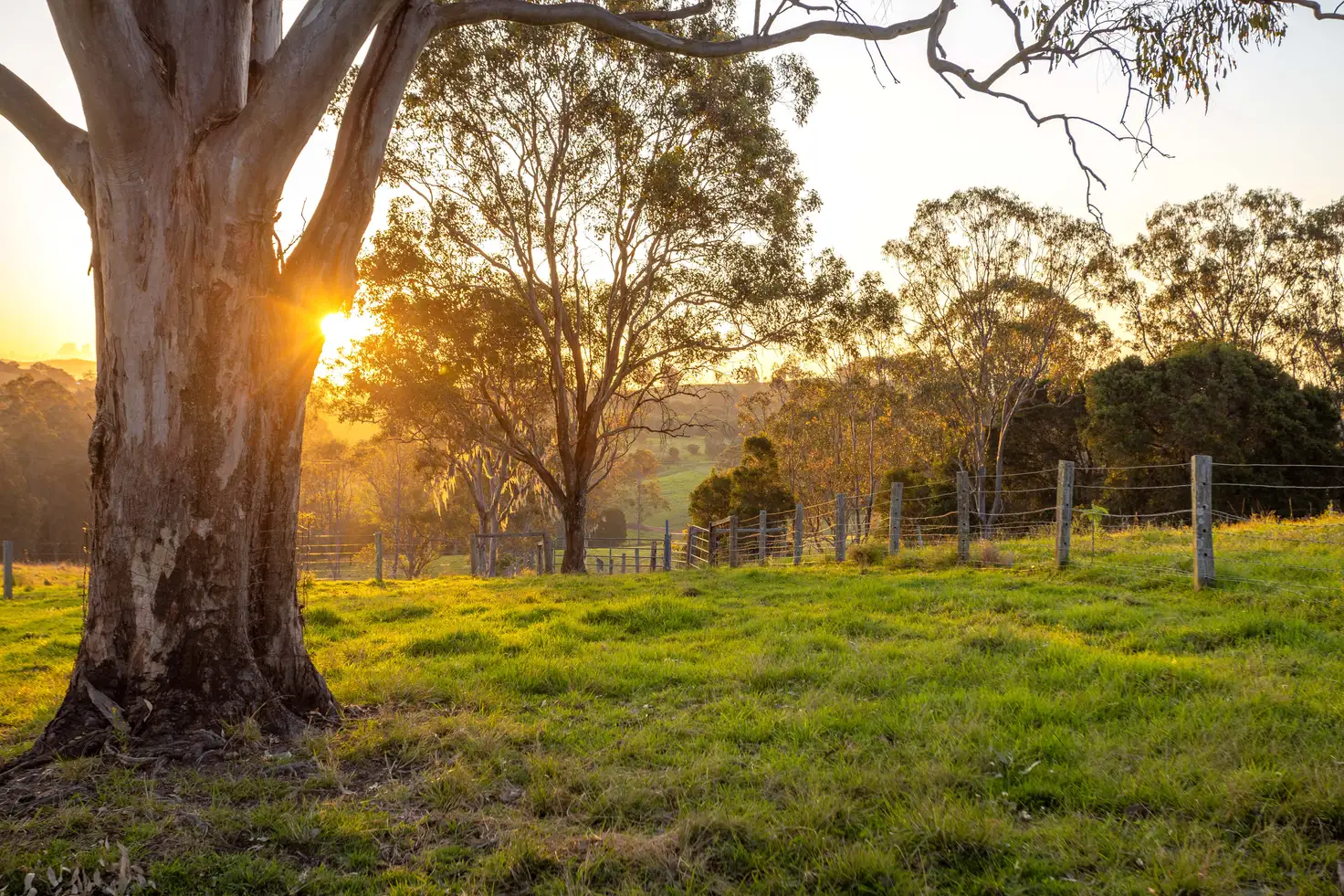 Main view of Homely rural property listing, 27 Abbotts Road, Bootawa NSW 2430