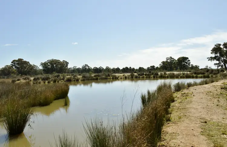 Fourth view of Homely rural property listing, 1525 Box Ridge Road, Coonabarabran NSW 2357