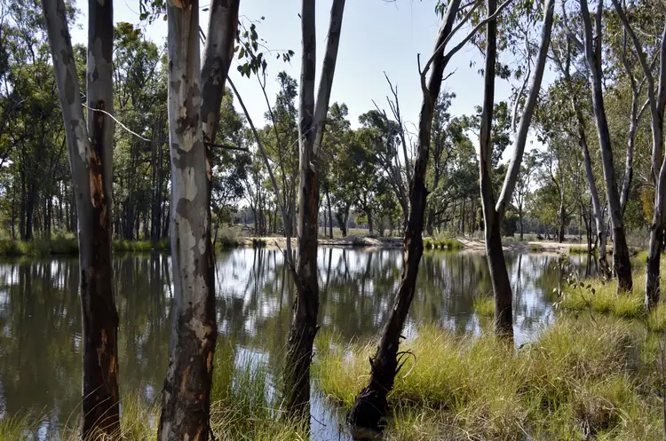 Sixth view of Homely rural property listing, 1525 Box Ridge Road, Coonabarabran NSW 2357