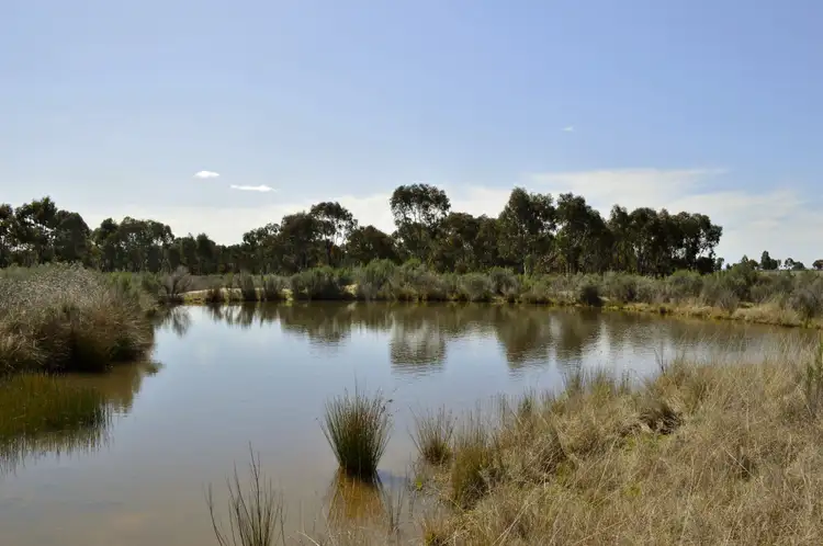 Seventh view of Homely rural property listing, 1525 Box Ridge Road, Coonabarabran NSW 2357