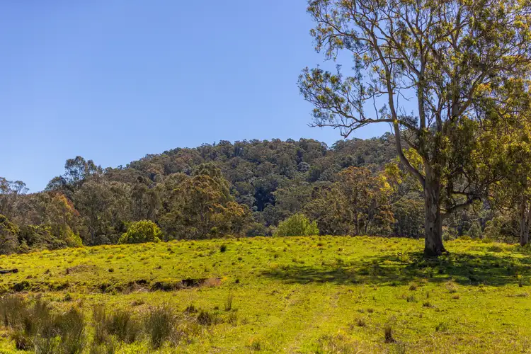 Seventh view of Homely rural property listing, 254 Fords Road, Moorland NSW 2443