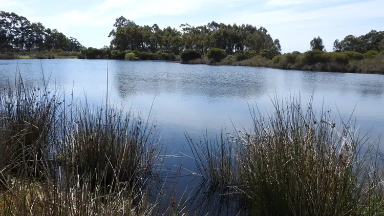 Fourth view of Homely rural property listing, 594 Gale Road, Kaloorup, Busselton WA 6280