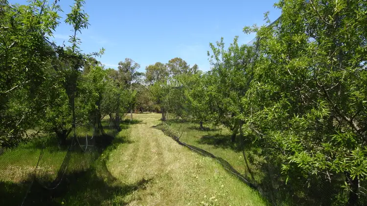 Sixth view of Homely rural property listing, 594 Gale Road, Kaloorup, Busselton WA 6280