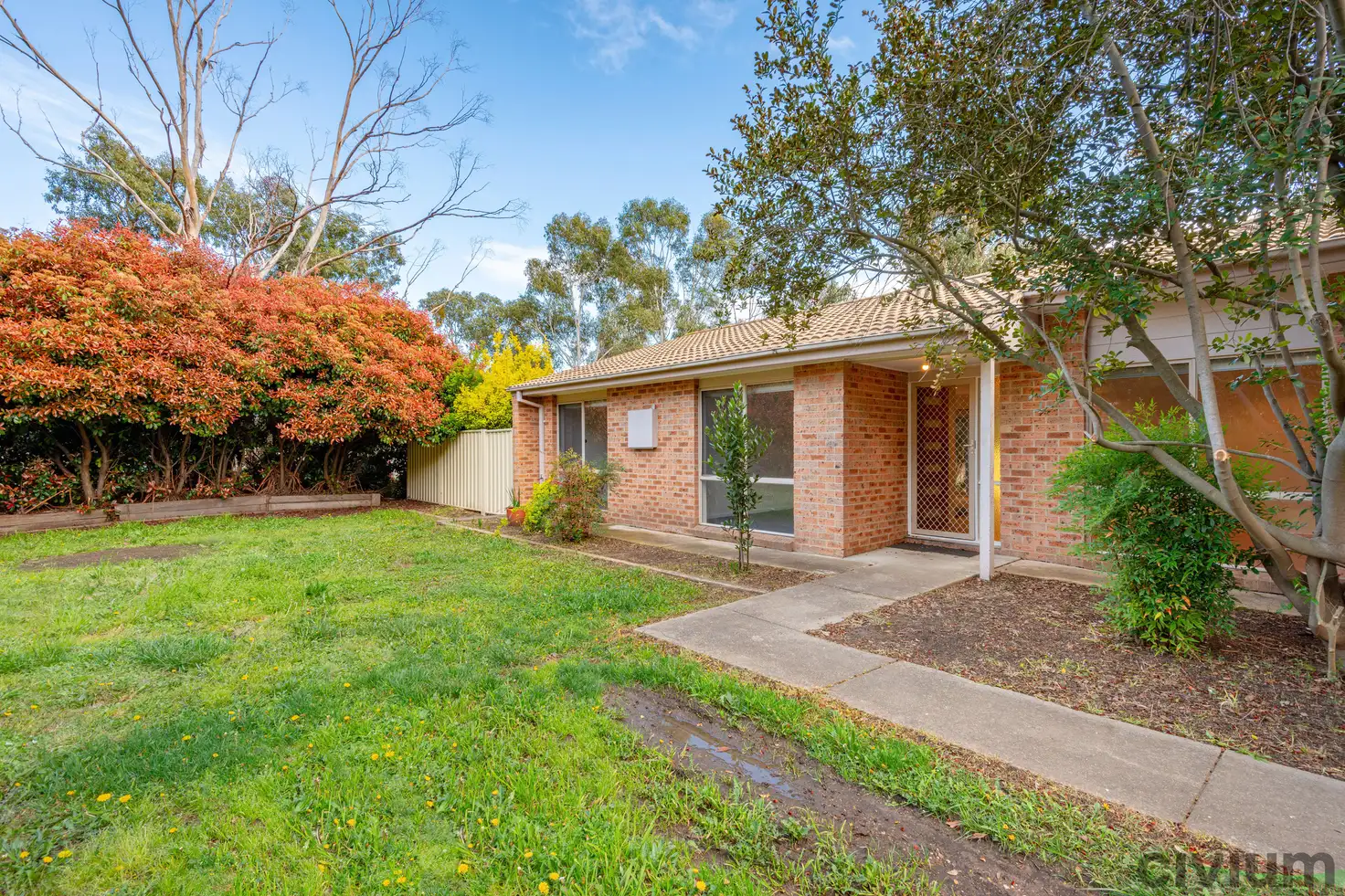 Main view of Homely townhouse listing, 14/24 Beazley Crescent, Calwell ACT 2905