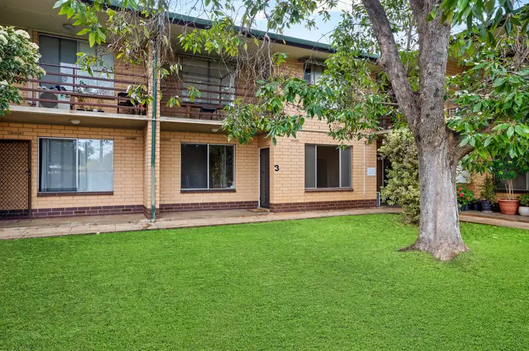 Main view of Homely unit listing, 3/29 Gordon Road, Clarence Park SA 5034