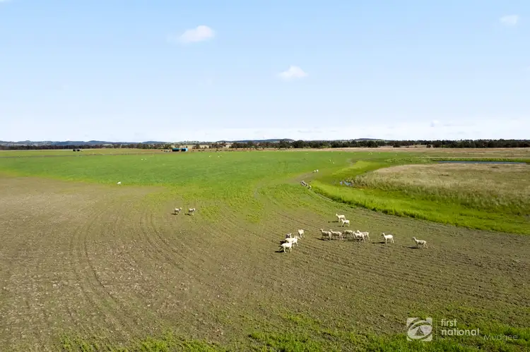 Sixth view of Homely rural property listing, 23 Shepherds Lane, Gulgong NSW 2852