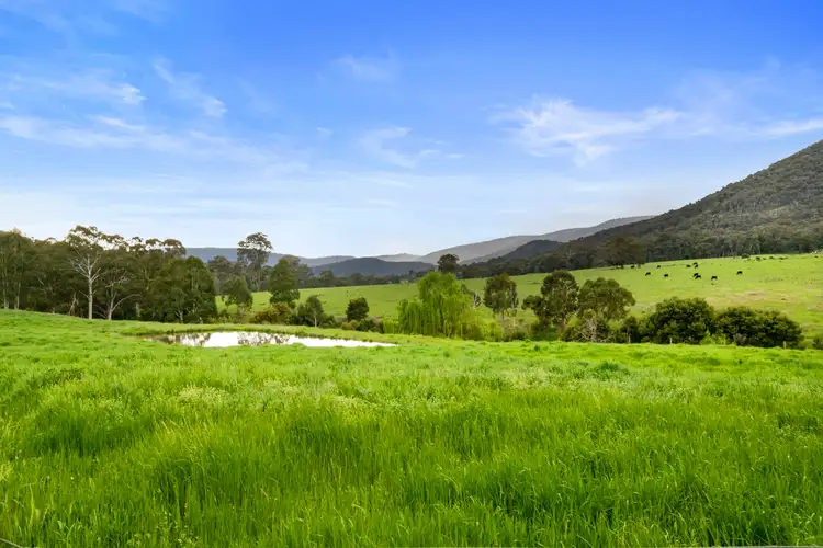 Fourth view of Homely rural property listing, 1073 Tatong-Tolmie Road, Tatong VIC 3673