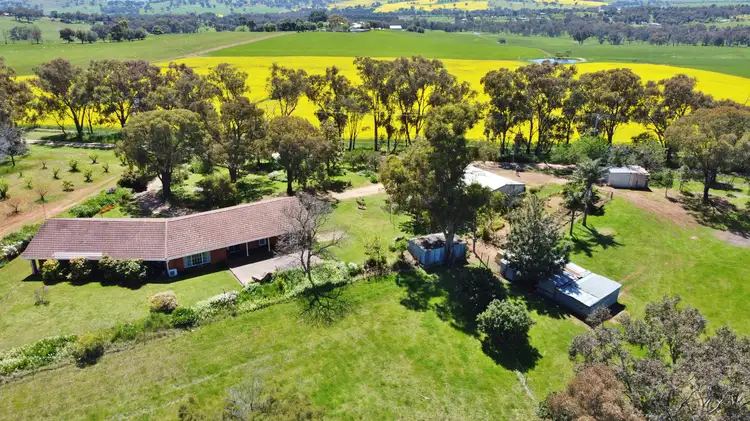 26 Reynolds Lane, Young NSW 2594