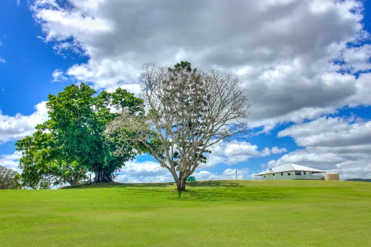 Fourth view of Homely rural property listing, 1097 Blackman Gap Road, Colosseum QLD 4677