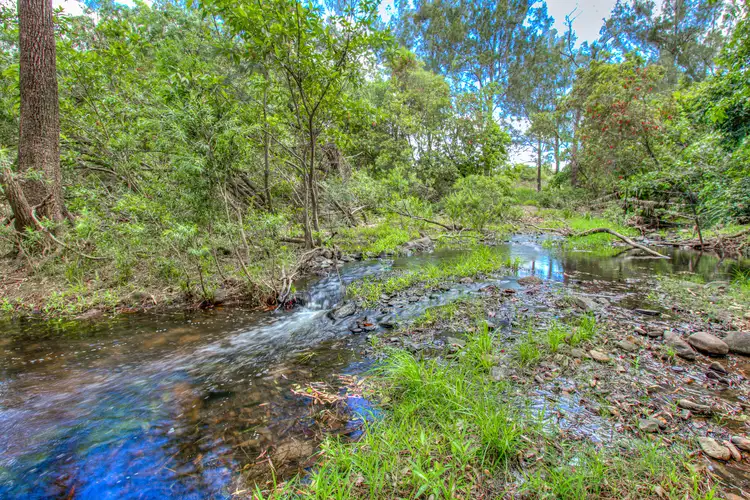 Fifth view of Homely rural property listing, 1097 Blackman Gap Road, Colosseum QLD 4677