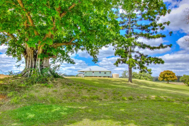 Sixth view of Homely rural property listing, 1097 Blackman Gap Road, Colosseum QLD 4677