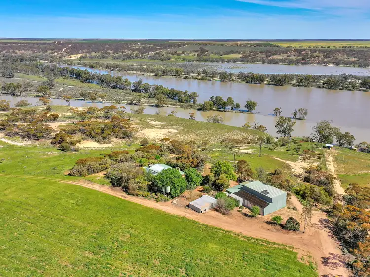 Fourth view of Homely rural property listing, 1249 Devlins Pound Road, Pooginook SA 5330