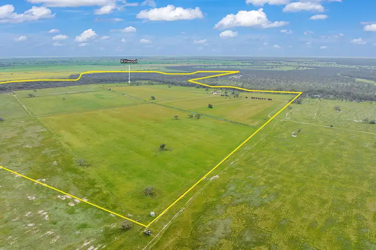 Second view of Homely rural property listing, Rillwood 295 Fountain Road (Via Swan Hill), Mellool NSW 2734