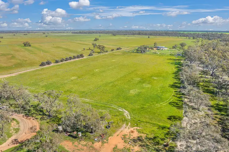 Third view of Homely rural property listing, Rillwood 295 Fountain Road (Via Swan Hill), Mellool NSW 2734